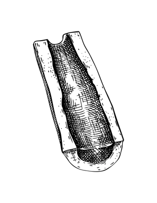 Slice of big marrowbone with meat sketch. Cooked bone isolated on white background. Hand drawn healthy food illustration for butchery, recipes, menu in vintage style. 